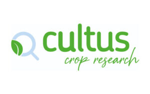 Read more about the article Cultus