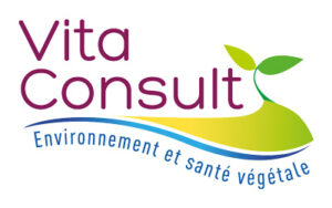 Read more about the article Vita Consult