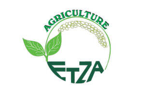 Read more about the article ETZA